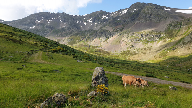 Montaña de Riaño, León, España<br />
Javier Valls<br />
jun 2020