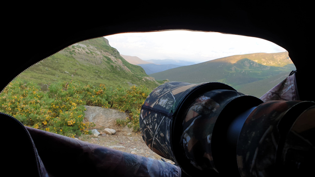 Montaña de Riaño, León, España<br />
Javier Valls<br />
jun 2020